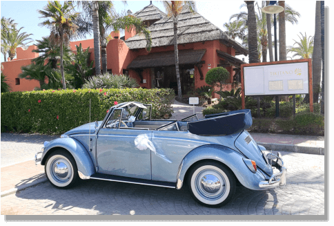 Escarabajo celeste para bodas, videos, y fotos