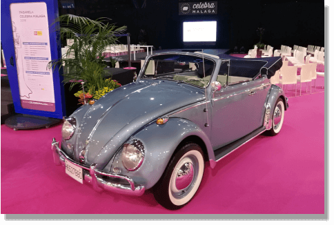 66 Beetle  Celebra Malaga 2019