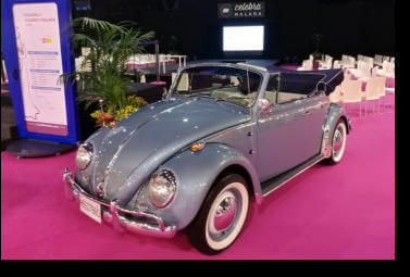 66 Beetle  Celebra Malaga 2019