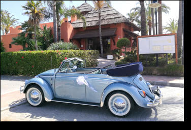 Escarabajo celeste para bodas, videos, y fotos