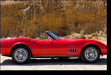 Stingray clasico