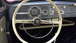 interior Beetle